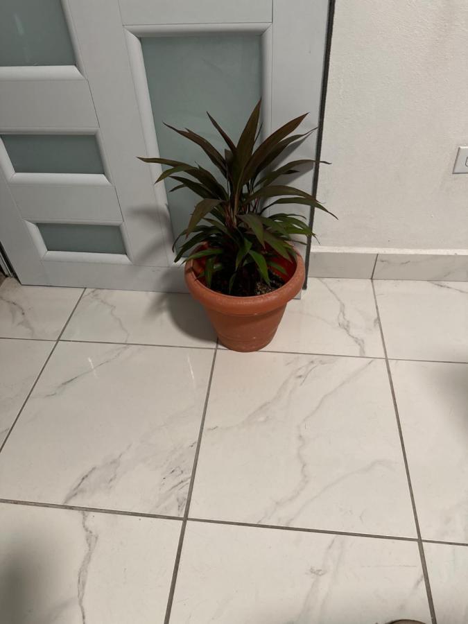 דירות סן חואן Second Floor 2Br Apt In The Center Of Santurce מראה חיצוני תמונה